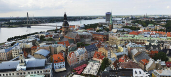 Satte fyr på Riga da de trodde Napoleon kom. Viste seg å være en flokk kyr Satte fyr på Riga da de trodde Napoleon kom. Viste seg å være en flokk kyr