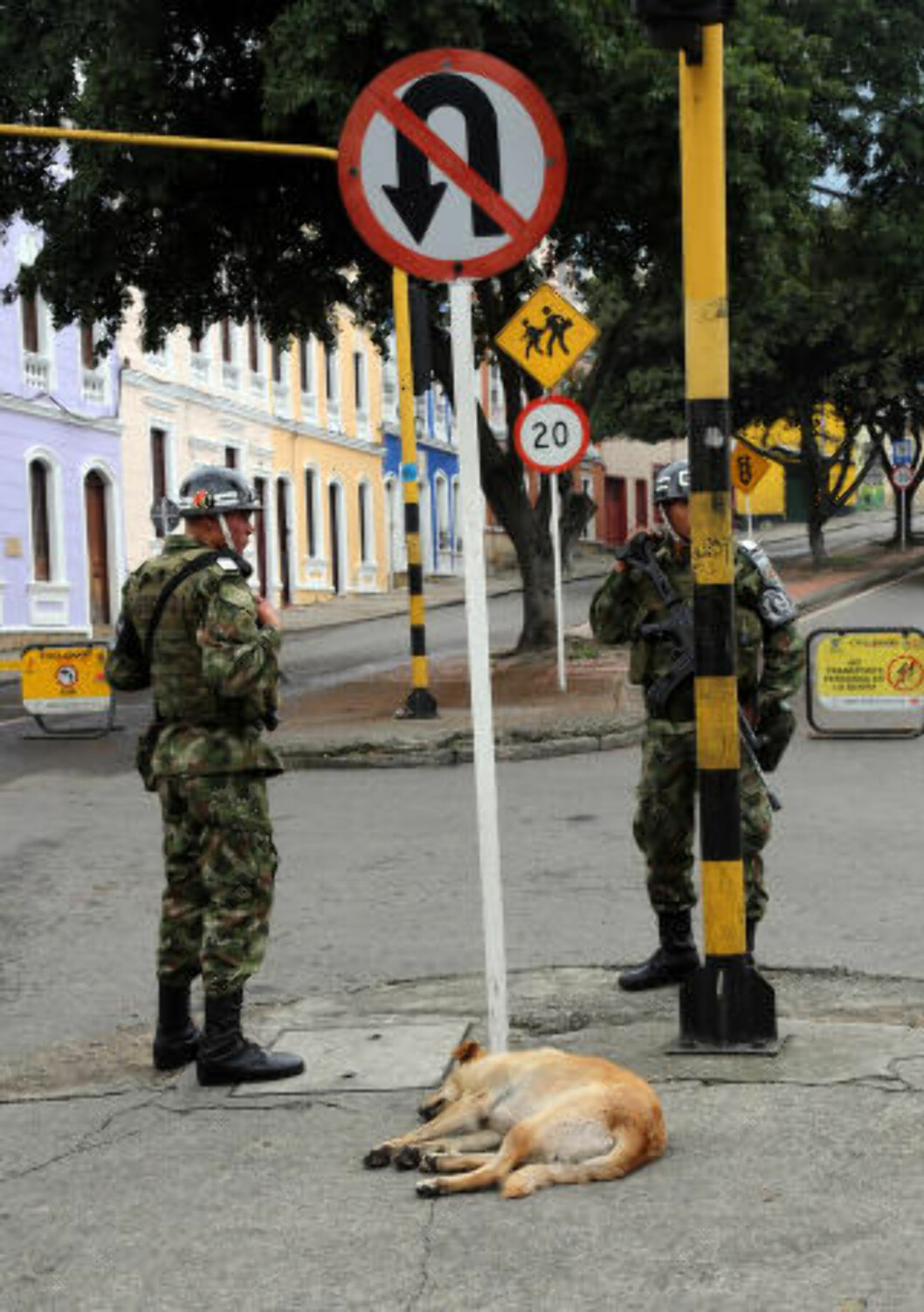 <strong>POLITIHUND:</strong> Det står politifolk på nesten hvert gatehjørne i Bogota, men politihunden tar seg en velfortjent hvil. Foto: EIVIND PEDERSEN <strong>POLITIHUND:</strong> Det står politifolk på nesten hvert gatehjørne i Bogota, men politihunden tar seg en velfortjent hvil. Foto: EIVIND PEDERSEN
