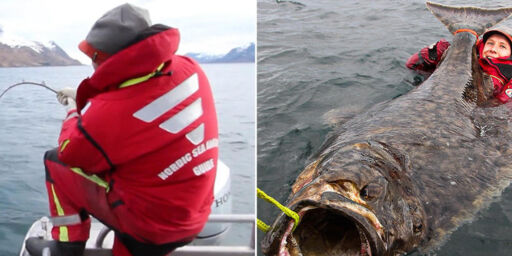 image: Her får Erik kjempekveita på kroken: - Jeg fikk sjokk