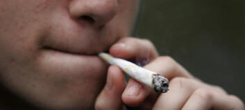 Så mange ble behandlet for narkoproblemer i Norge i fjor Så mange ble behandlet for narkoproblemer i Norge i fjor