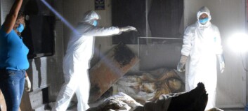 Fant 61 lik i nedlagt krematorium i Mexico Fant 61 lik i nedlagt krematorium i Mexico