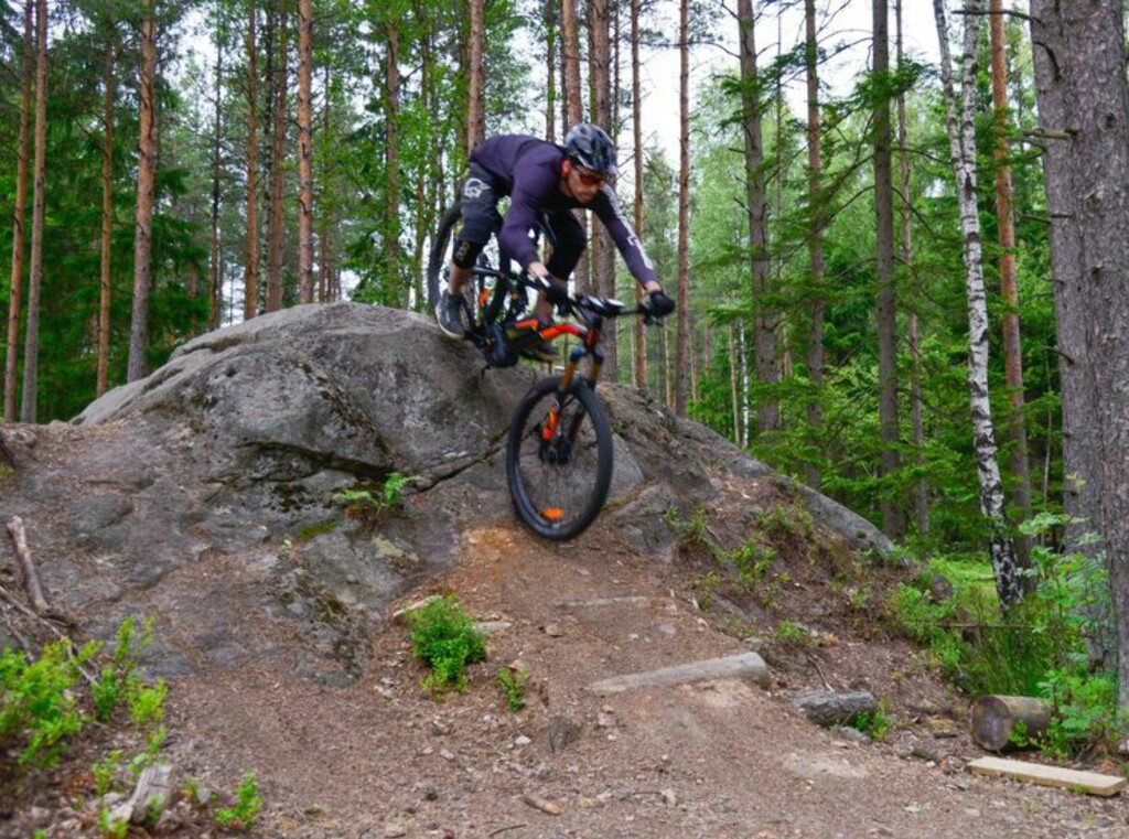 I SKOGEN: Sykler til marka-bruk koster gjerne mye penger. Foto: JAMIESON POTHECARY I SKOGEN: Sykler til marka-bruk koster gjerne mye penger. Foto: JAMIESON POTHECARY