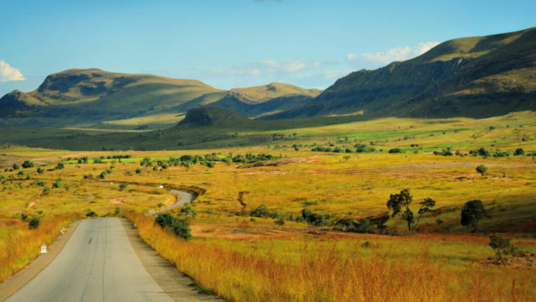 <strong>DEN STORE REISEN:</strong> Reisen med det episke navnet The Great Southern Adventure går i løpet av 1200 kilometer fra regnskog til savanne til ørken og strender. Foto: TORILD MOLAND <strong>DEN STORE REISEN:</strong> Reisen med det episke navnet The Great Southern Adventure går i løpet av 1200 kilometer fra regnskog til savanne til ørken og strender. Foto: TORILD MOLAND