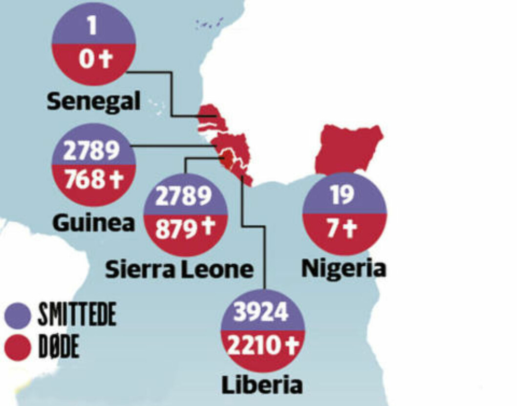 TESTER HELSEVESENET: Helt siden det første ebola-tilfellet i desember i fjor, har Guineas helsevesen kjempet mot ebola-utbruddet. Nå har det spredd seg over landegrenser, og kontinenter, og tatt livet av 4024 mennesker. Forrige uke har mistanke om ebola ført til sterke smitteverntiltak i flere land, som da et hotell ble stengt i Makedonia, og en bygning i Paris ble stengt. Begge viste seg å være falsk alarm. Grafikk: Dagbladet TESTER HELSEVESENET: Helt siden det første ebola-tilfellet i desember i fjor, har Guineas helsevesen kjempet mot ebola-utbruddet. Nå har det spredd seg over landegrenser, og kontinenter, og tatt livet av 4024 mennesker. Forrige uke har mistanke om ebola ført til sterke smitteverntiltak i flere land, som da et hotell ble stengt i Makedonia, og en bygning i Paris ble stengt. Begge viste seg å være falsk alarm. Grafikk: Dagbladet
