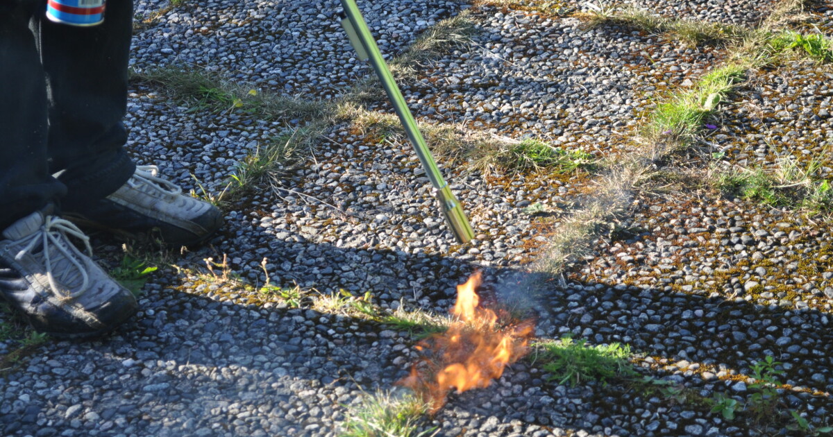 Gassbrenner test 2015 Gassbrenner test 2015