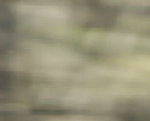 bat compression tester