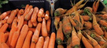 Norske butikker vegrer seg for å følge Frankrikes stjerneeksempel Norske butikker vegrer seg for å følge Frankrikes stjerneeksempel