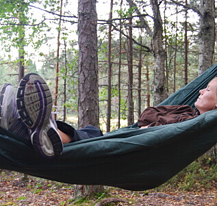 Hengekøyer for skogsturen Hengekøyer for skogsturen