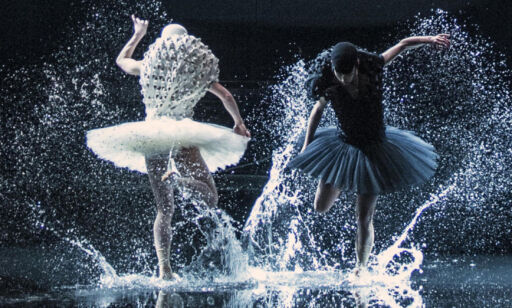 image: Anmeldelse: «A Swan Lake»