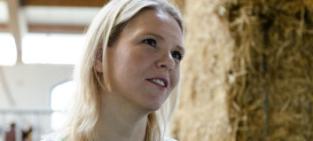 Listhaug dobler grensen for kyllingproduksjon Listhaug dobler grensen for kyllingproduksjon