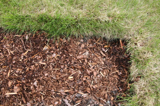 Legg duken helt inn til gresskanten, og 5 cm med bark. Foto: Maren Synnevåg Legg duken helt inn til gresskanten, og 5 cm med bark. Foto: Maren Synnevåg