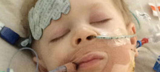 Lucas' (2) hjerte lå åpent i to dager: Her banker det for mamma og pappa Lucas' (2) hjerte lå åpent i to dager: Her banker det for mamma og pappa