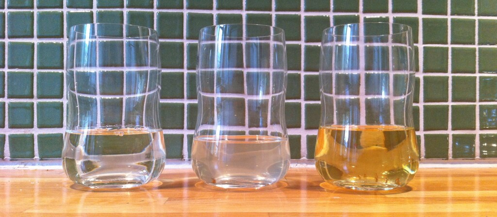 Fluefanger kjerringråd Fluefanger kjerringråd