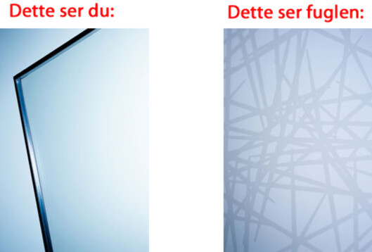 Foto: Produsenten Foto: Produsenten