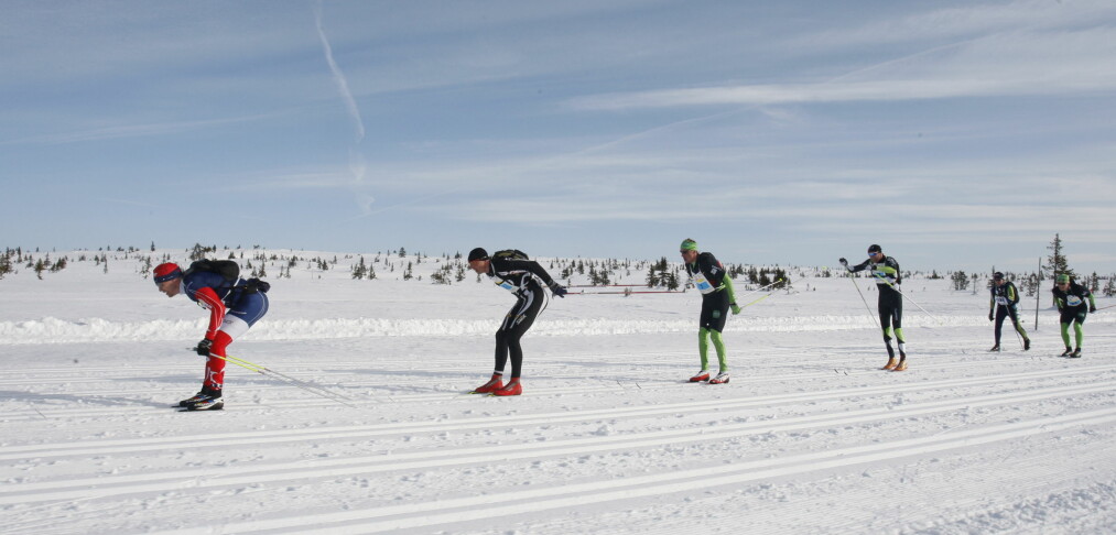 Er du en birkebeiner? Er du en birkebeiner?