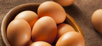 Så mange egg kan du spise Så mange egg kan du spise