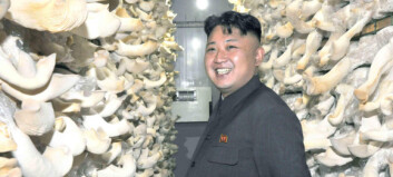- Kim Jong-un var veldig full da han beordret henrettelser - Kim Jong-un var veldig full da han beordret henrettelser