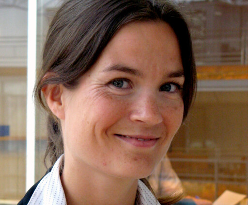 Camilla Viland, DnB NOR Markets Camilla Viland, DnB NOR Markets