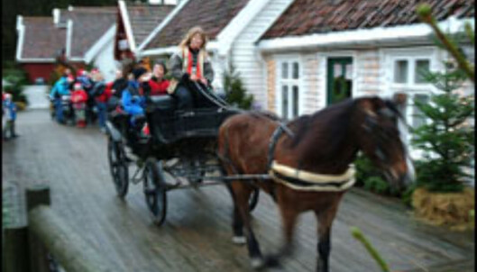 Kjøring med hest og kjerre i Kjuttaviga. Kjøring med hest og kjerre i Kjuttaviga.