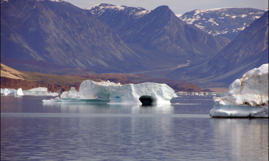 Natur i Diskobukta. Foto: Lars Brubæk Natur i Diskobukta. Foto: Lars Brubæk