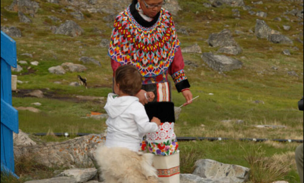 Småtassen holder seg varm i hekken ved hjelp av isbjørpels. Foto: Lars Brubæk Småtassen holder seg varm i hekken ved hjelp av isbjørpels. Foto: Lars Brubæk