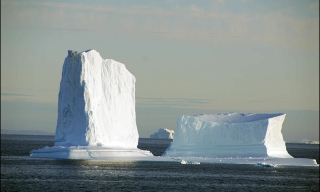 Giganter som avslutter sin istilværelse på havet. Foto: Lars Brubæk Giganter som avslutter sin istilværelse på havet. Foto: Lars Brubæk
