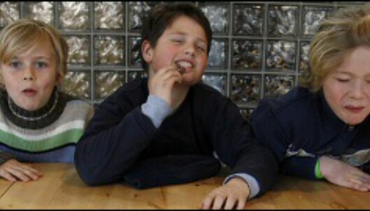 <strong>Junior-juryen:</strong> Brage, Jakob og Jonas, 10 år. <i>Foto: Per Ervland</i> <strong>Junior-juryen:</strong> Brage, Jakob og Jonas, 10 år. <i>Foto: Per Ervland</i>