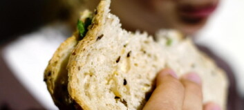 Kaster 190 000 brød hver dag Kaster 190 000 brød hver dag