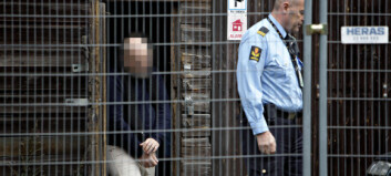 - Fra 6. til 13. august var han aldri på nett - Fra 6. til 13. august var han aldri på nett