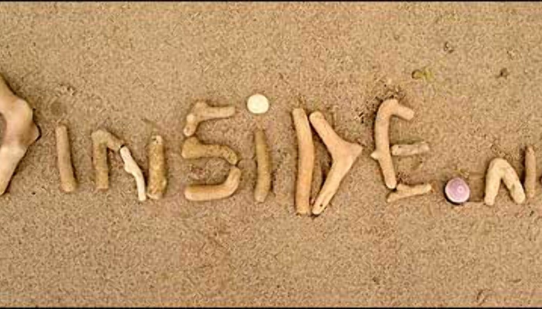 DinSide.no was here. DinSide.no was here.