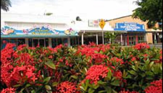 Port Douglas blomstrer. Port Douglas blomstrer.