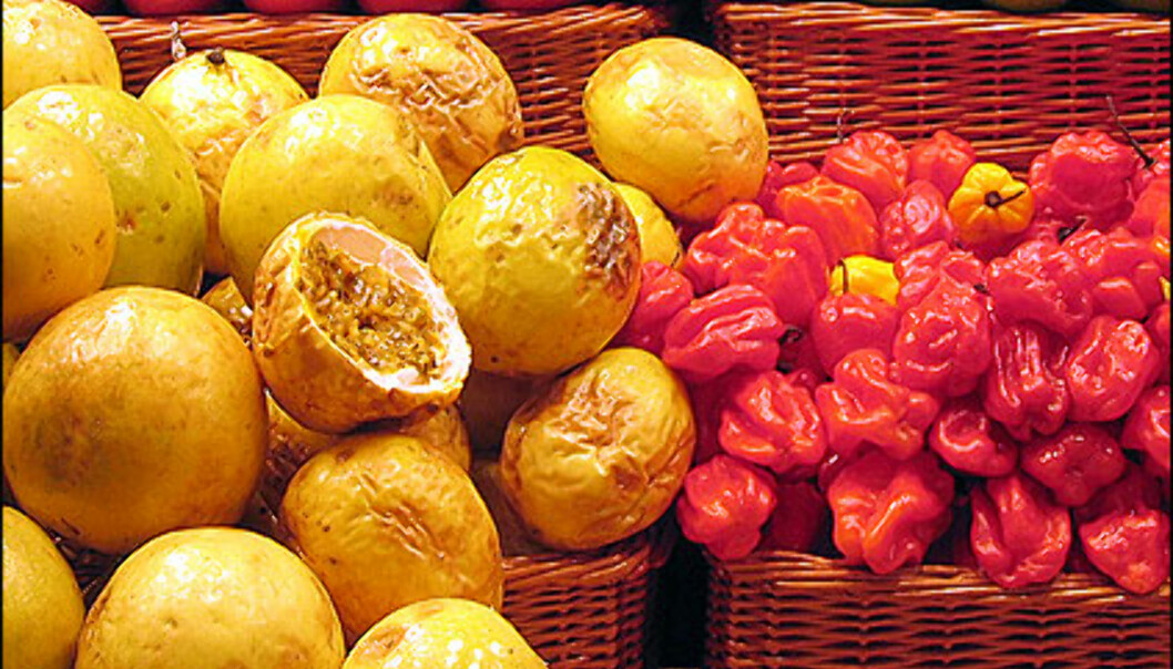 La Boquería fryder. Det store matmarkedet selger mat fra hele verden og alle immigranter i Barcelona finner mat fra sine hjemland på dette markedet.<br />
<br />
<i>Foto: Inga Holst</i> Foto: Inga Holst</I> La Boquería fryder. Det store matmarkedet selger mat fra hele verden og alle immigranter i Barcelona finner mat fra sine hjemland på dette markedet.<br />
<br />
<i>Foto: Inga Holst</i> Foto: Inga Holst</I>
