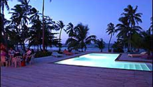 Her kan det fort være inspirerende å oppføre seg uskikkelig? Fra Palmetto på Roatan. <I>Foto: Palmetto Bay Plantation</I> Foto: Palmetto Bay Plantation Her kan det fort være inspirerende å oppføre seg uskikkelig? Fra Palmetto på Roatan. <I>Foto: Palmetto Bay Plantation</I> Foto: Palmetto Bay Plantation