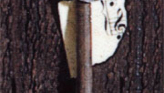 Detalj fra papirbilde Detalj fra papirbilde
