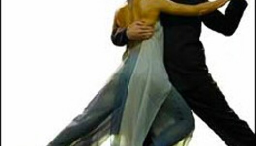 <strong>Tango:</strong> Dramatikk og latinsk lidenskap - for to. <strong>Tango:</strong> Dramatikk og latinsk lidenskap - for to.
