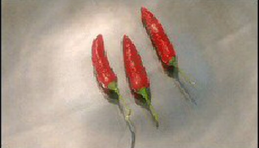 <strong>Chilli:</strong> forførende hot. <strong>Chilli:</strong> forførende hot.