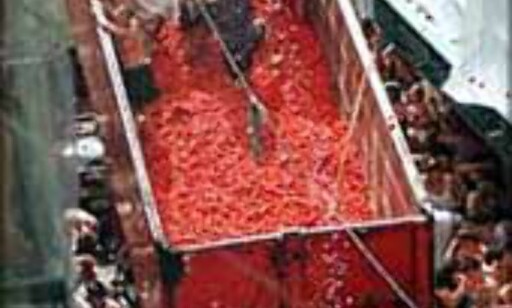 Tomatina er en av de mest grisete festivalene i Europa. Tomatina er en av de mest grisete festivalene i Europa.