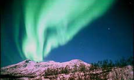 Aurora Borealis, nordlyset, har gitt navn til både festivaler og konferanser.
Foto: Destinasjon Tromsø Foto: Destinasjon Tromsø Aurora Borealis, nordlyset, har gitt navn til både festivaler og konferanser.
Foto: Destinasjon Tromsø Foto: Destinasjon Tromsø