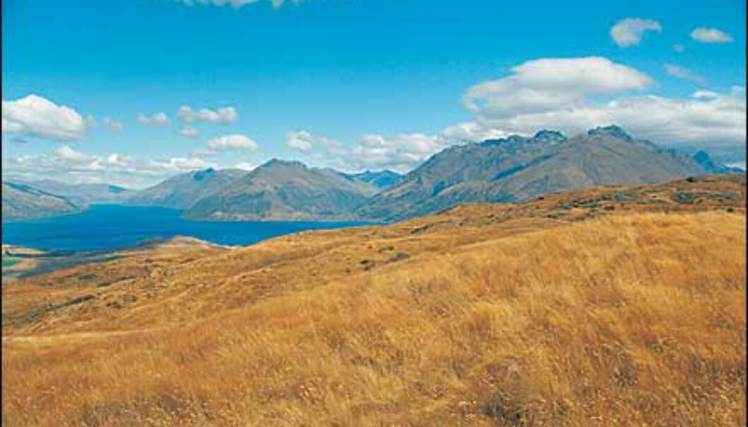 <I>Foto: Ian Brodie/Tourism New Zealand</I> Foto: Ian Brodie/Tourism New Zealand <I>Foto: Ian Brodie/Tourism New Zealand</I> Foto: Ian Brodie/Tourism New Zealand
