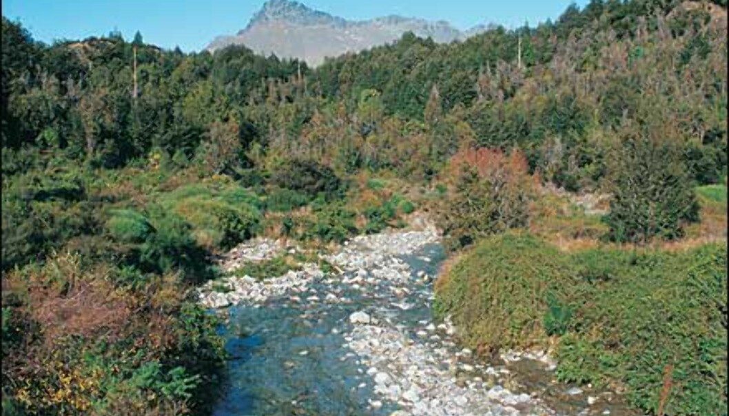 <I>Foto: Ian Brodie/Tourism New Zealand</I> <I>Foto: Ian Brodie/Tourism New Zealand</I>