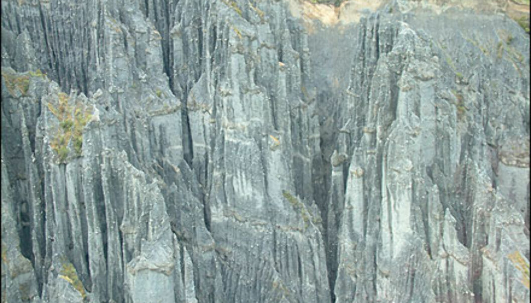 <I>Bilde fra NewZealand.com<I> Foto: Bilde fra NewZealand.com <I>Bilde fra NewZealand.com<I> Foto: Bilde fra NewZealand.com