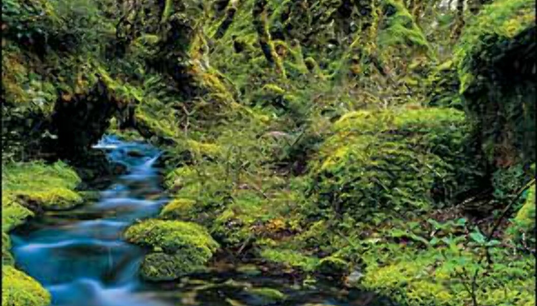 <I>Bilde: Gilbert van Reenen/Tourism New Zealand</I> Foto: Gilbert van Reenen/Tourism New Zealand <I>Bilde: Gilbert van Reenen/Tourism New Zealand</I> Foto: Gilbert van Reenen/Tourism New Zealand