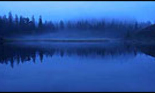 Foto: Ørjan Moe Foto: Ørjan Moe