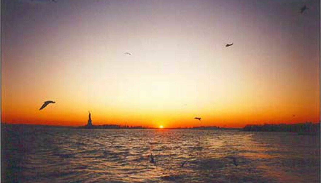Utsikt fra båt mot Frihetsgudinnen i New York.<br />
Foto: Monika Huseby Foto: Monika Huseby Utsikt fra båt mot Frihetsgudinnen i New York.<br />
Foto: Monika Huseby Foto: Monika Huseby