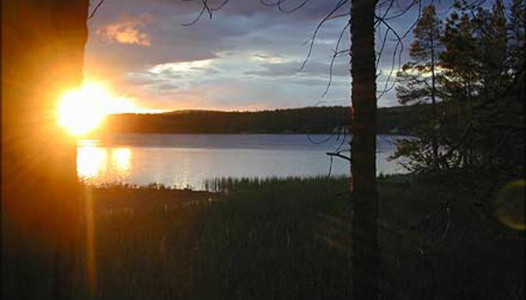 Et rotnorsk fiskevann like før solen går ned.<br />
Foto: Olaf Gaarder Foto: Olaf Gaarder Et rotnorsk fiskevann like før solen går ned.<br />
Foto: Olaf Gaarder Foto: Olaf Gaarder