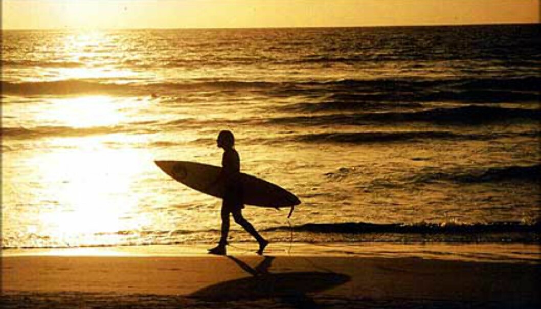 Surfebomsen på Bali avslutter aktivitetene med solnedgangen.<br />
Foto: Morten Holbein Foto: Morten Holbein Surfebomsen på Bali avslutter aktivitetene med solnedgangen.<br />
Foto: Morten Holbein Foto: Morten Holbein