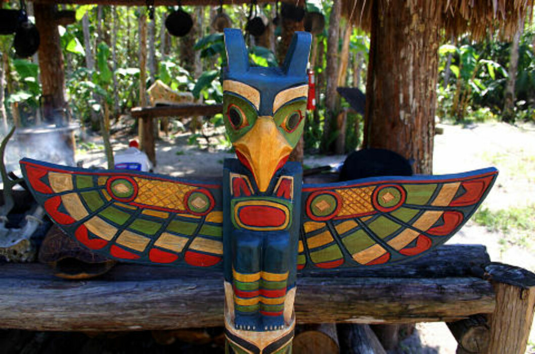 <strong> INDIANERLAND:</strong> Besøk Miccosukee-indianernes reservat i Everglades. Foto: KIRSTEN M. BUZZI <strong> INDIANERLAND:</strong> Besøk Miccosukee-indianernes reservat i Everglades. Foto: KIRSTEN M. BUZZI