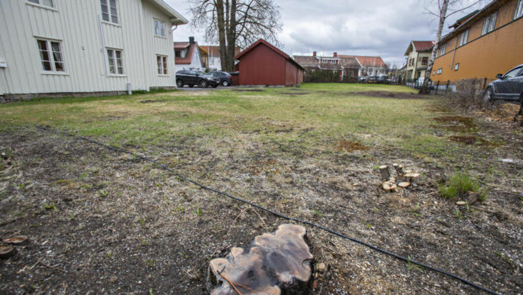 <strong>ULOVLIG:</strong> Bjørn Dæhlie risikerer en høy bot for å i vinter ha hogget ned flere vernede epletrær ved denne tomta i Storgata 3 i Jessheim sentrum. Foto: Torbjørn Berg / Dagbladet <strong>ULOVLIG:</strong> Bjørn Dæhlie risikerer en høy bot for å i vinter ha hogget ned flere vernede epletrær ved denne tomta i Storgata 3 i Jessheim sentrum. Foto: Torbjørn Berg / Dagbladet