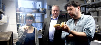 Hvilken grillpølse bør du velge i morgen? Hvilken grillpølse bør du velge i morgen?
