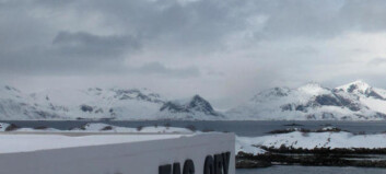 Kaviar avec i Lofoten Kaviar avec i Lofoten